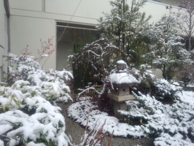 雪化粧　エスパス一乗寺